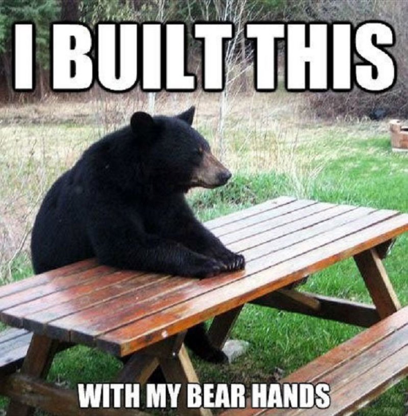 Bear Hands!-12 Hilarious Bear Puns That Will Make You Cry