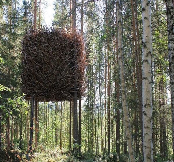 Bird's nest-15 Amazing Tree Houses Ever