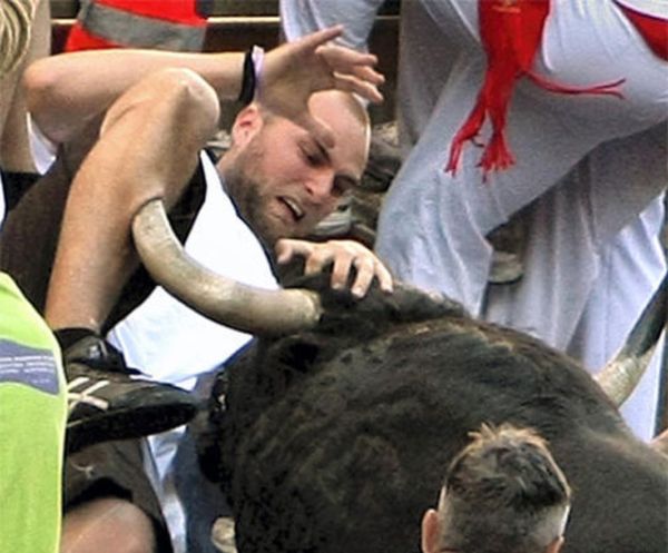 Angry bulls gone wild..-Perfectly Timed Mind Blowing Photos