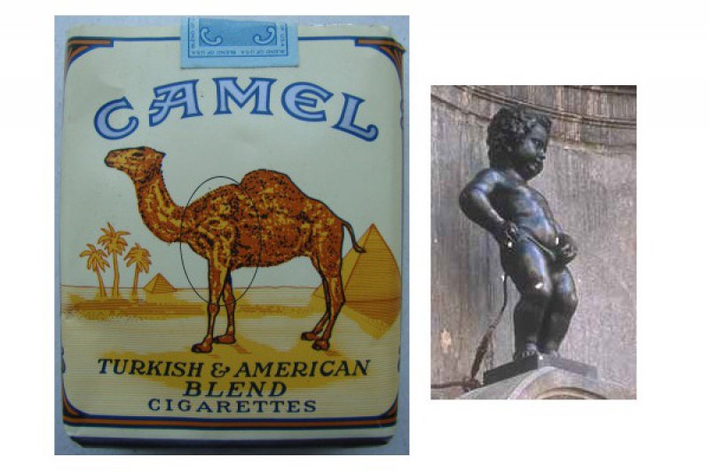 Camel Cigarettes Subliminal Message 12 Subliminal Messages In Popular Advertisements