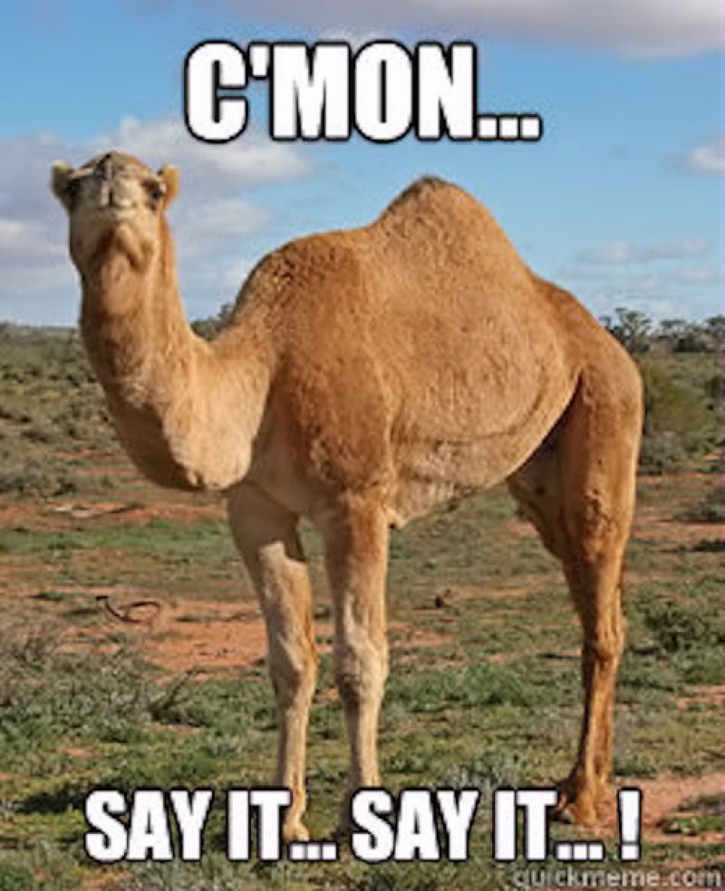 12 Funny Hump Day Memes That Will Make Your Whole Week 12 Funny Hump Day Memes That Will Make Your Whole Week