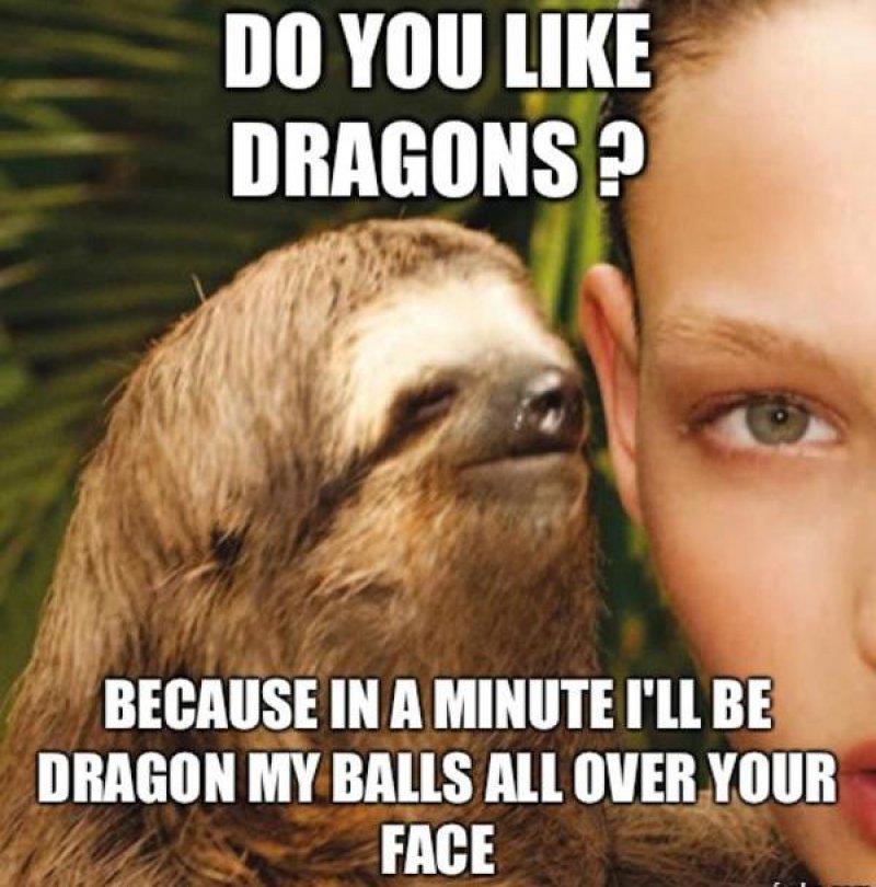 Do You Like Dragons?-12 Funny Rape Sloth Memes That Will Make You Lol