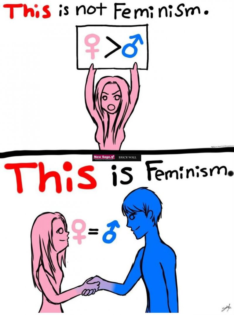 Exactly, This Is Feminism!-12 Funny Feminist Memes That Are Sure To Trigger Some Feminists