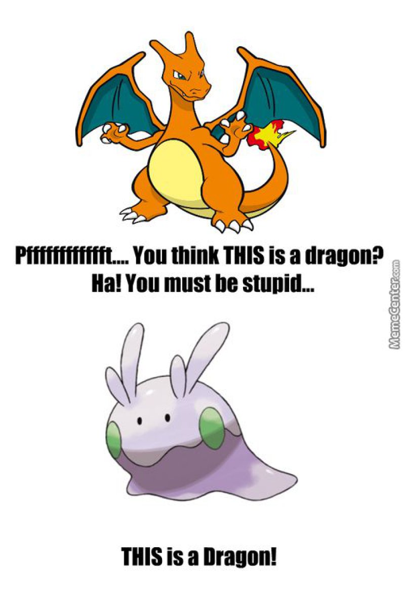 Find Out The Real Dragon!-12 Hilarious Pokémon Memes That Will Make Your Day