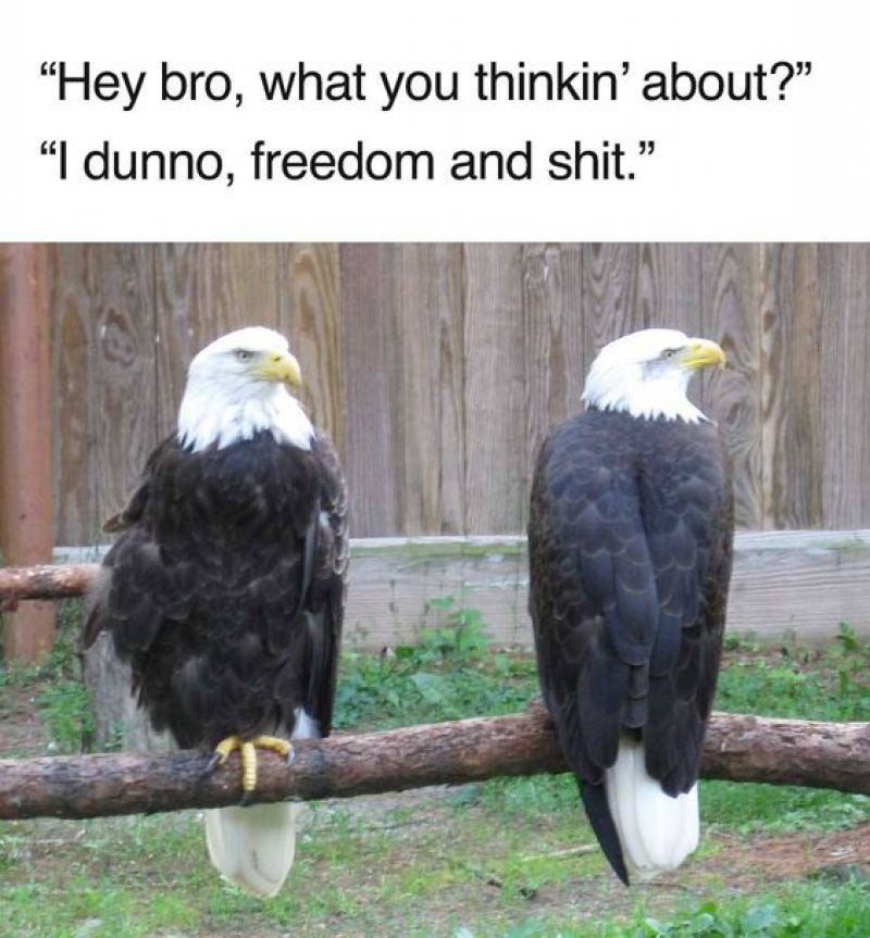 Freedom And Shit!