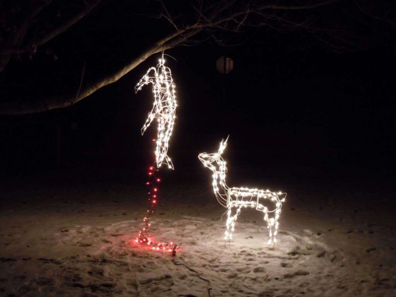 Hanging Reindeer-12 Worst Christmas Decorations Ever