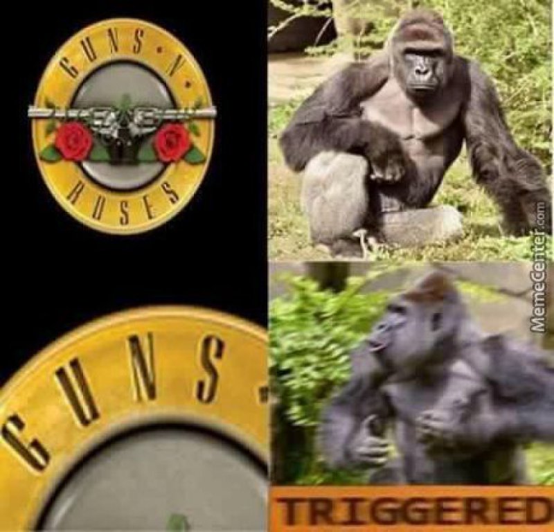 Harambe Triggered!-12 Hilarious Triggered Memes That Are Sure To Make Someone Triggered