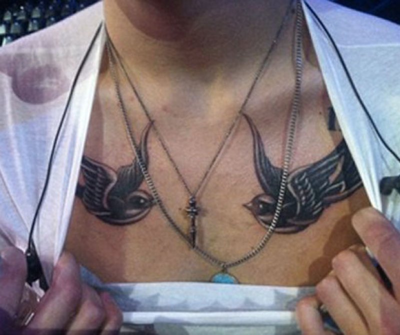 Harry Styles Swallows Tattoo-12 Amazing Harry Styles' Tattoos