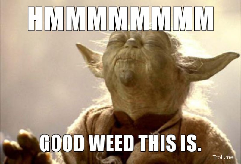 Hmmm, Good Weed This Is!-12 Funny Weed Memes That Are Sure To Get Your Sense Of Humor High