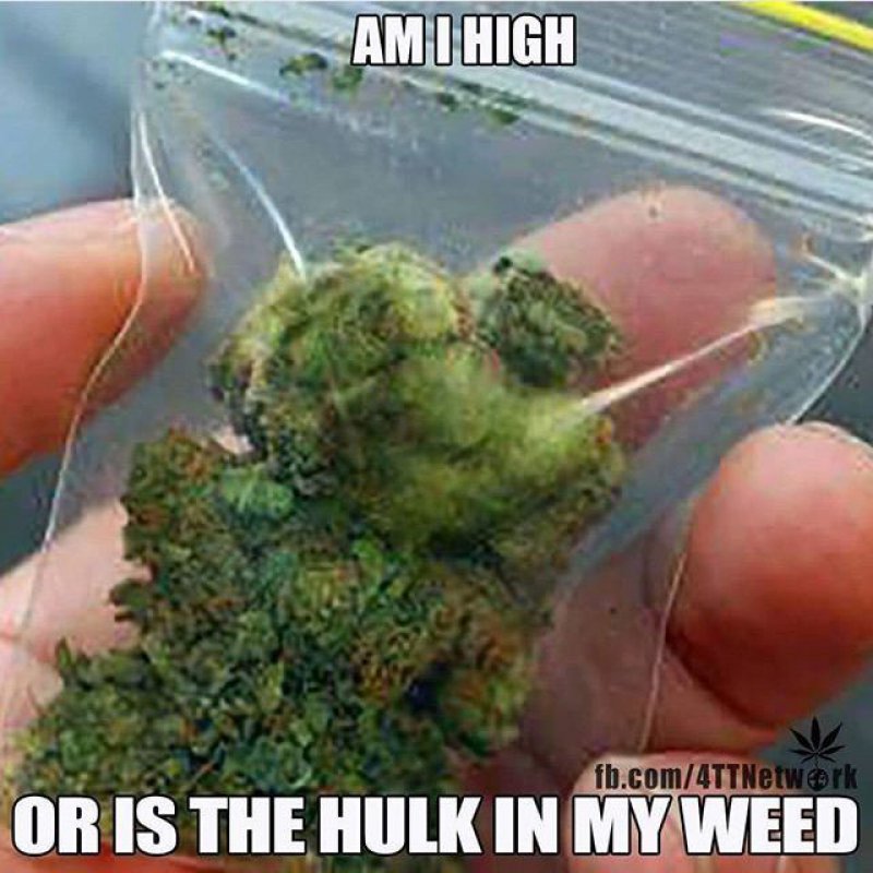 Hulk In Weed!-12 Funny Weed Memes That Are Sure To Get Your Sense Of Humor High