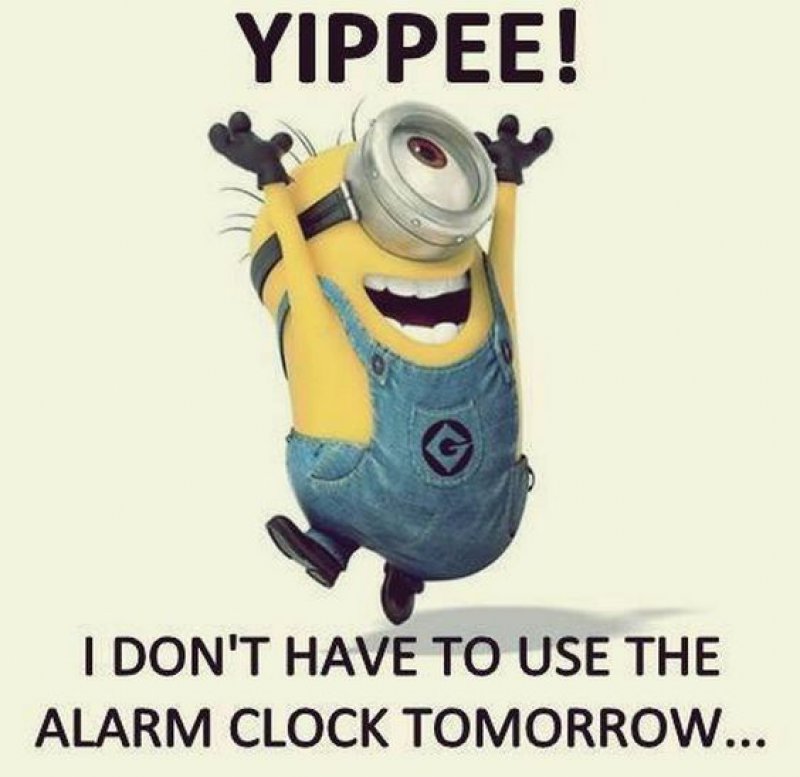 I Don't Have To Use Alarm Clock, Tomorrow!-12 Hilarious Friday Memes That Will Brighten Up Your Friday