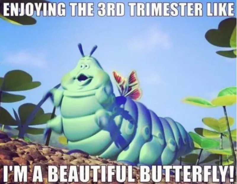 I'm A Beautiful Butterfly!-12 Hilarious Pregnancy Memes That Will Make Your Day