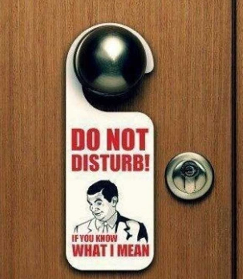 If You Know What I Mean Do Not Disturb Sign.