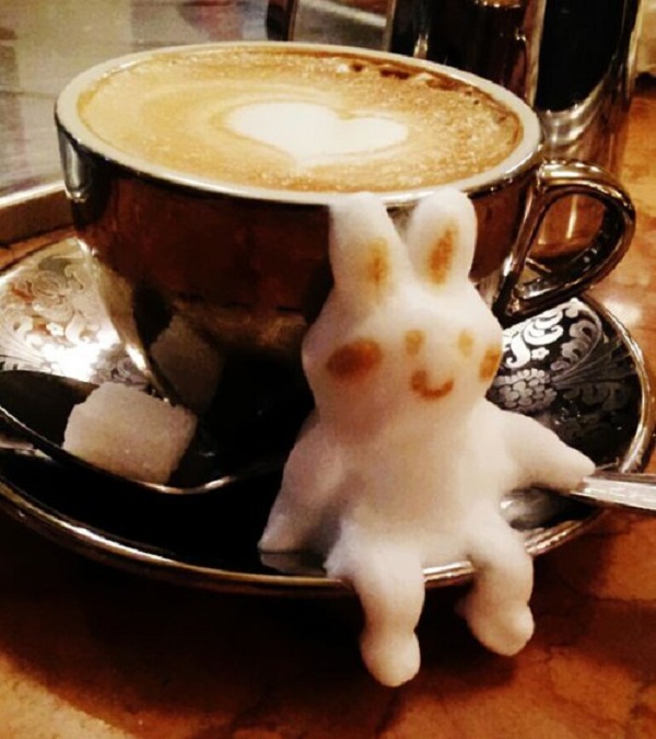 Kitten-Top 15 Creative 3D Cafe Latte
