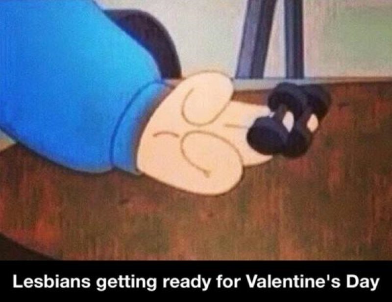 Lesbians Getting Ready For Valentine's Day!-12 Hilarious Lesbian Memes That Are Sure To Make You Lol