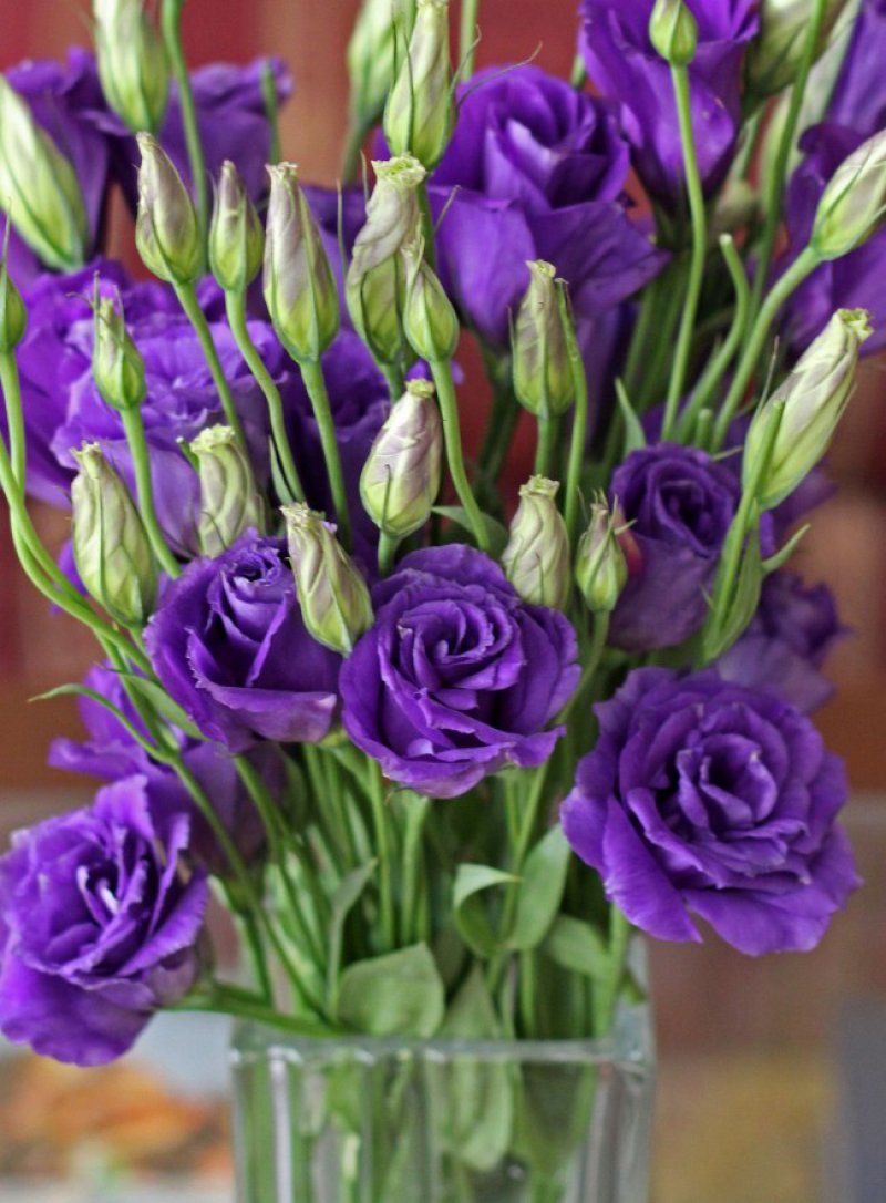 Lisianthus-12 Most Beautiful Flowers In The World