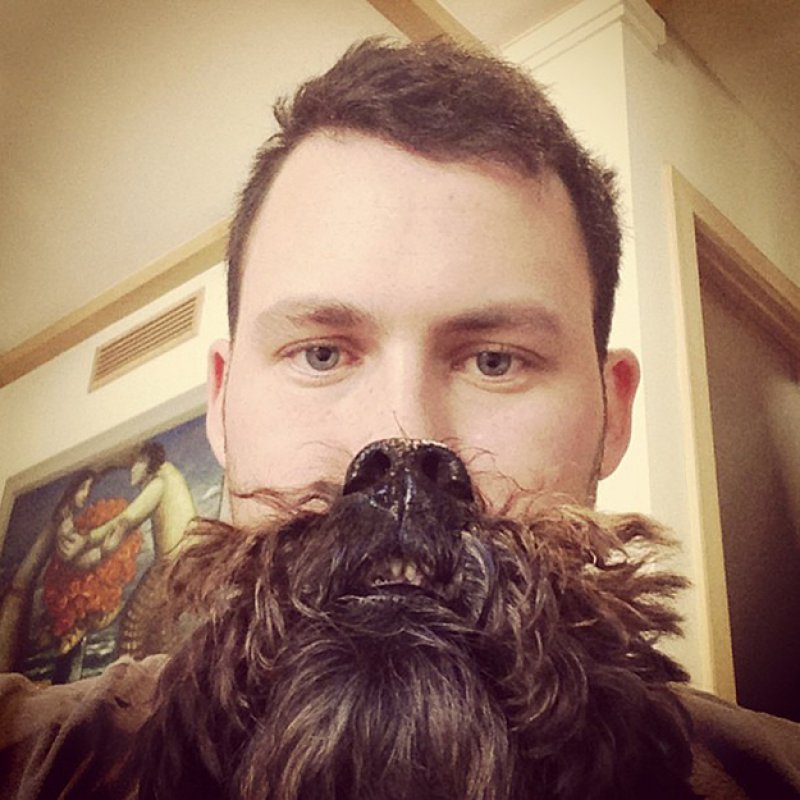 Long Coat Dog Breed = Awesome Dog Beard