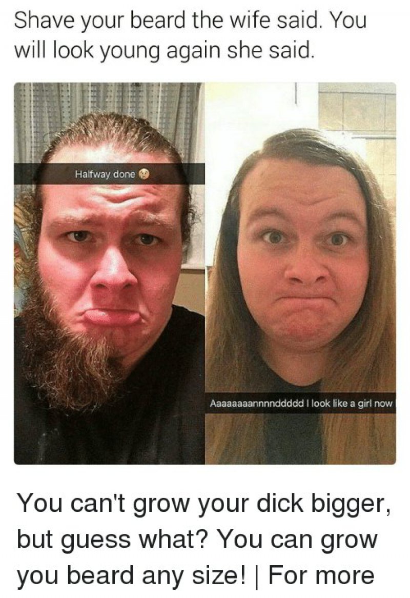 12 Funny Beard Memes That Will Make You Lol