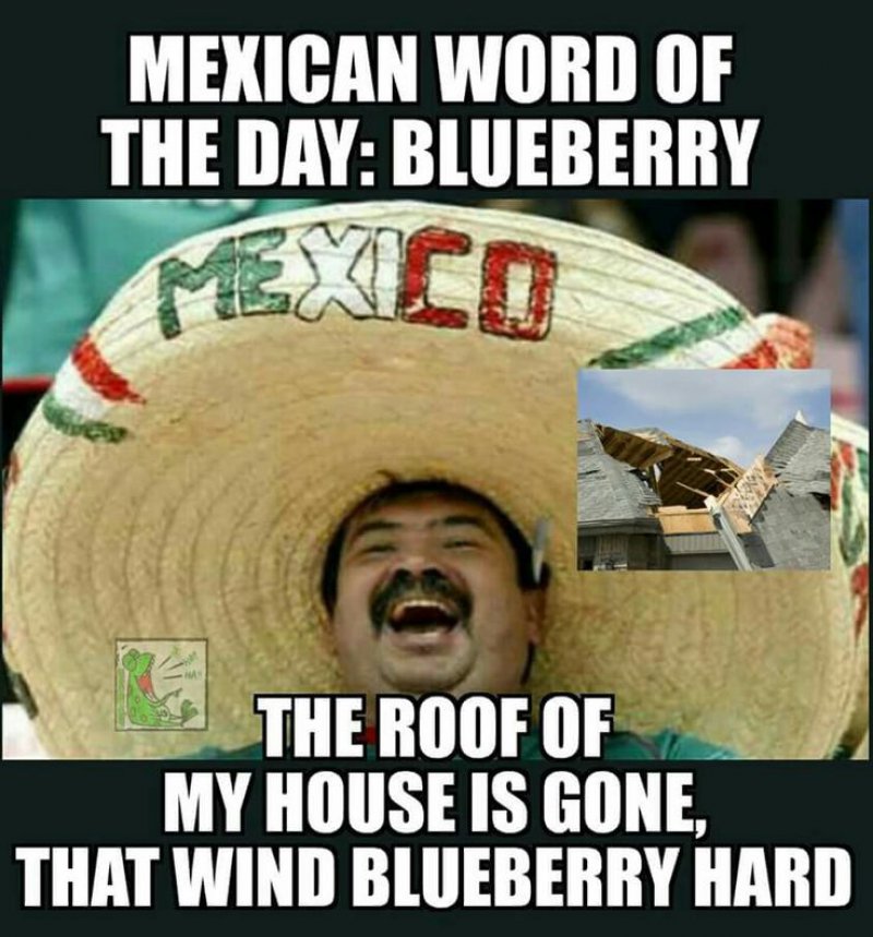 Mexican Word Of The Day: Blueberry-12 Funny Mexican Word Of The Day Memes