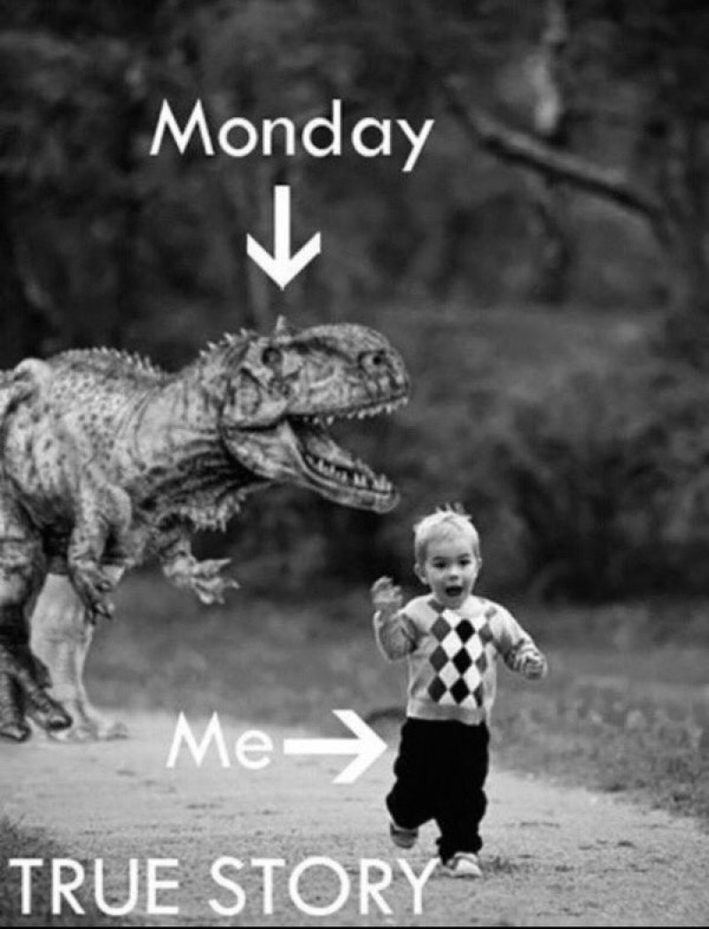 Mondays Be Like-12 Funny Monday Memes That Will Brighten Your Monday