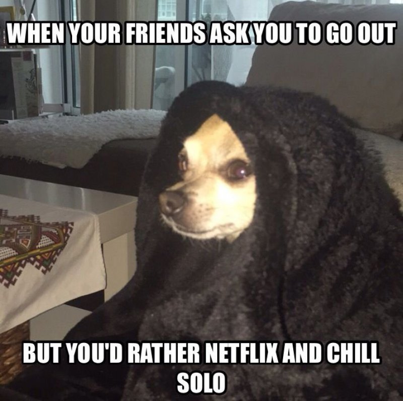 Netflix And Chill Solo!-12 Hilarious Friday Memes That Will Brighten Up Your Friday