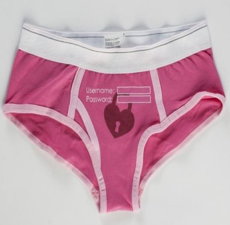 Password Protected Panties-12 Funniest Geeky Panties Ever Made