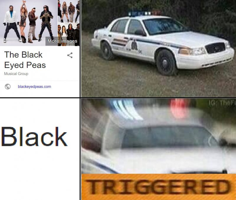 Police Triggered!-12 Hilarious Triggered Memes That Are Sure To Make Someone Triggered