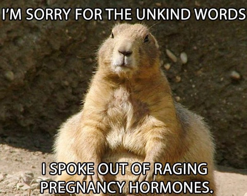 Pregnancy Rage!-12 Hilarious Pregnancy Memes That Will Make Your Day