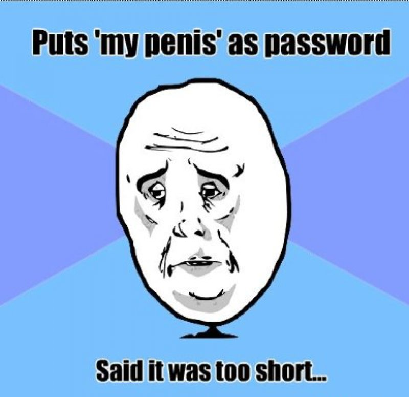 Puts "My Penis" As Password, Said It Was Too Short!-12 Funny Okay Memes That Will Make You Feel Okay About Your Life