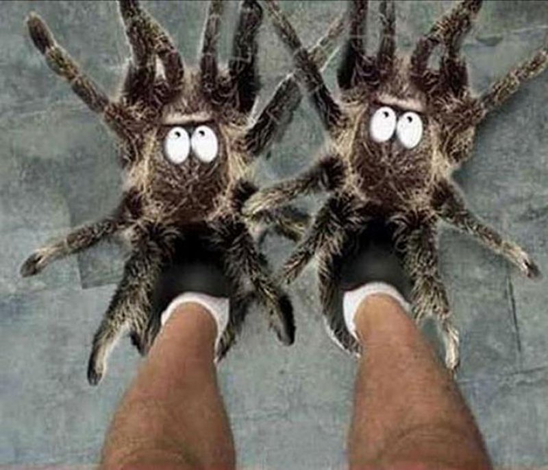 Scary Spider Slippers -12 Craziest Slippers You'll Ever See