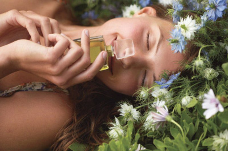 Scent And Memories-15 WTFacts About Brain You May Not Know