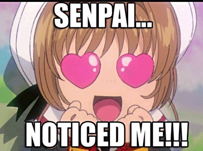 Senpai Noticed Me (Finally)!-12 Funny Anime Memes That Are Sure To Make You Warai