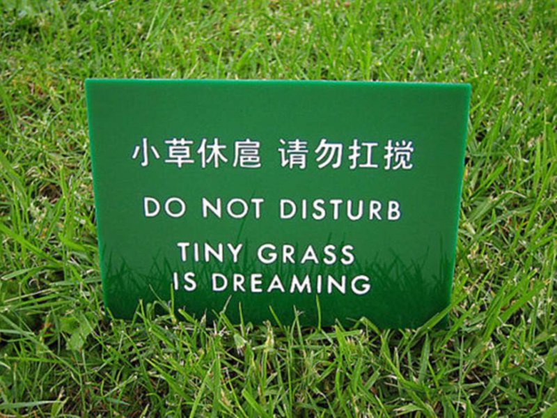 Shhhh ... The Grass Is Disturbing-12 Funniest Do Not Disturb Signs That Will Make You Lol