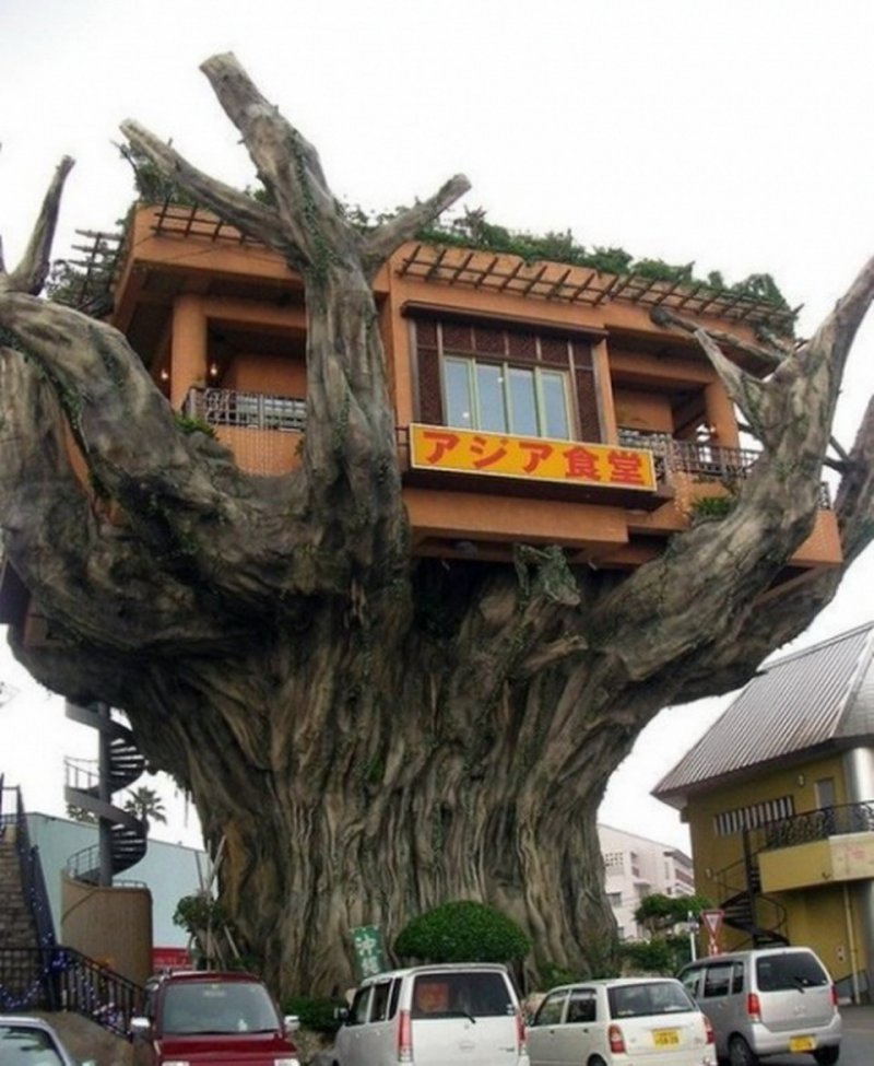 Shop House-15 Amazing Tree Houses Ever