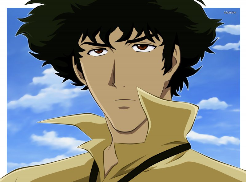 spike cowboy bebop sleep