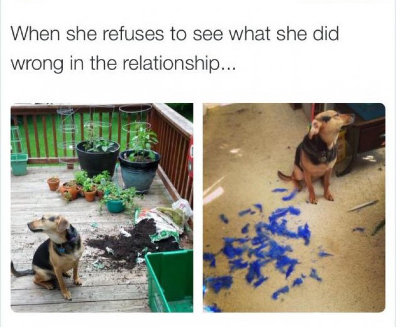 Stubborn Girlfriend Problems-12 Relationships Memes That Will Make You Say So Us