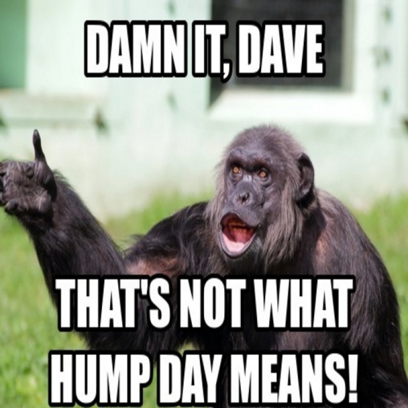 That's Not What Hump Day Means-12 Funny Hump Day Memes That Will Make Your Whole Week