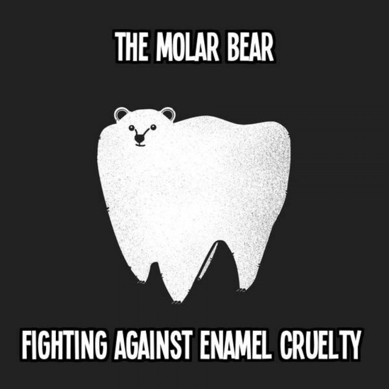 The Molar Bear-12 Hilarious Bear Puns That Will Make You Cry