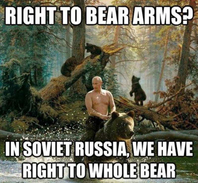 The Right To Bear Arms! -12 Hilarious Bear Puns That Will Make You Cry