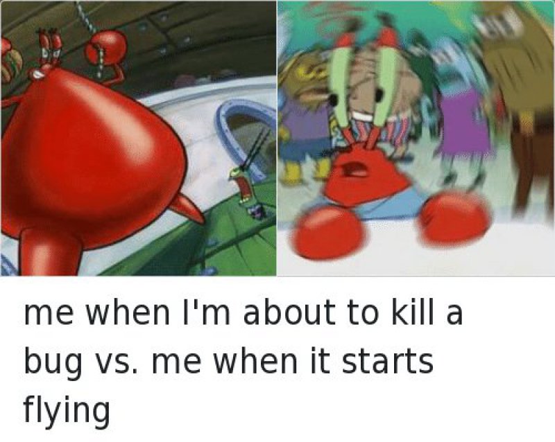 The Struggle Is Real-12 Hilarious Confused Mr. Krabs Memes