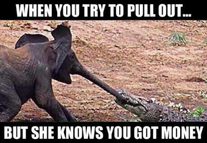 The Struggle Is Real-12 Hilarious Sex Memes That Will Make You Lol