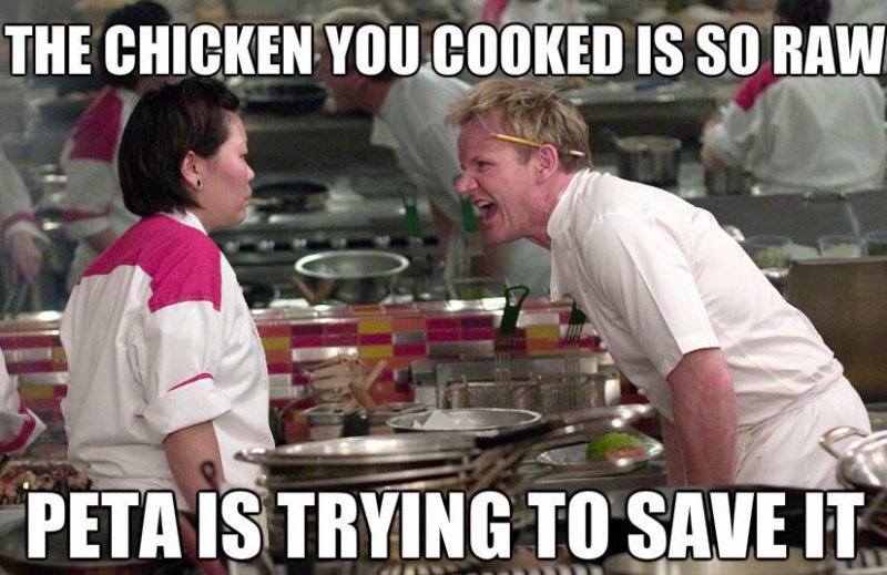 The Uncooked Chicken-12 Hilarious Gordon Ramsay Memes That Will Make You Cry