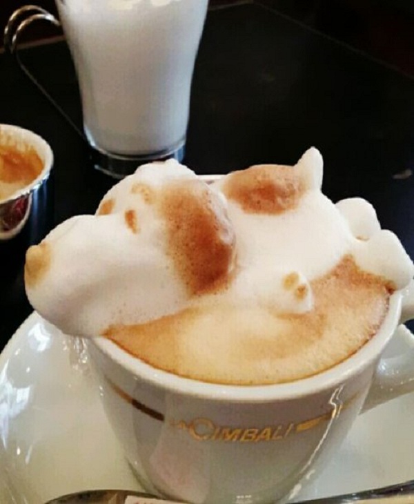 The dog-Top 15 Creative 3D Cafe Latte