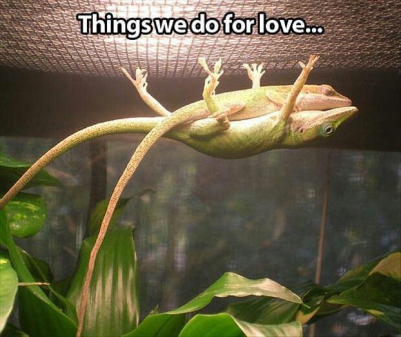 Things We Do For Love!-12 Beautiful Yet Hilarious Love Memes