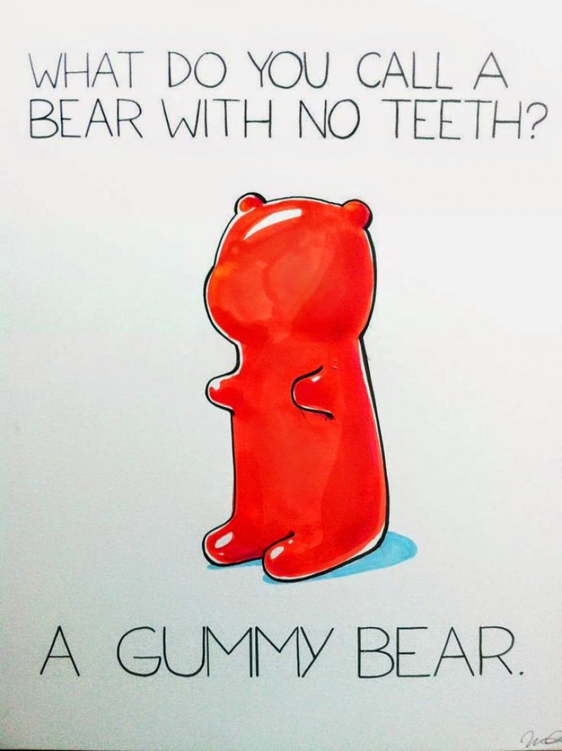 This "Punny" Question-12 Hilarious Bear Puns That Will Make You Cry