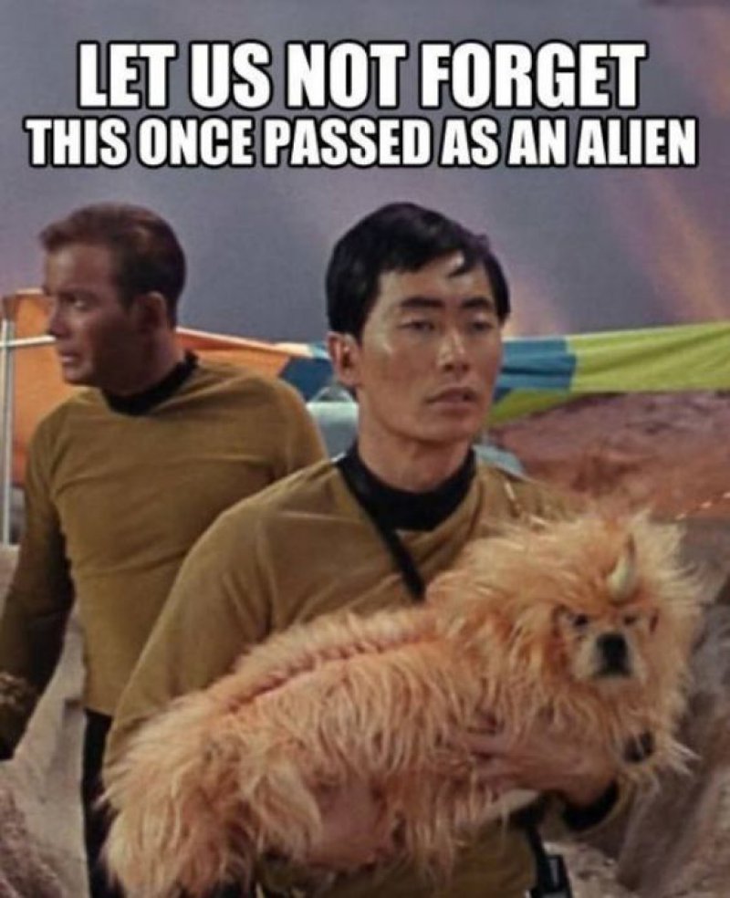 This Alien Dog!-12 Funny Star Trek Memes That Are Make Your Day