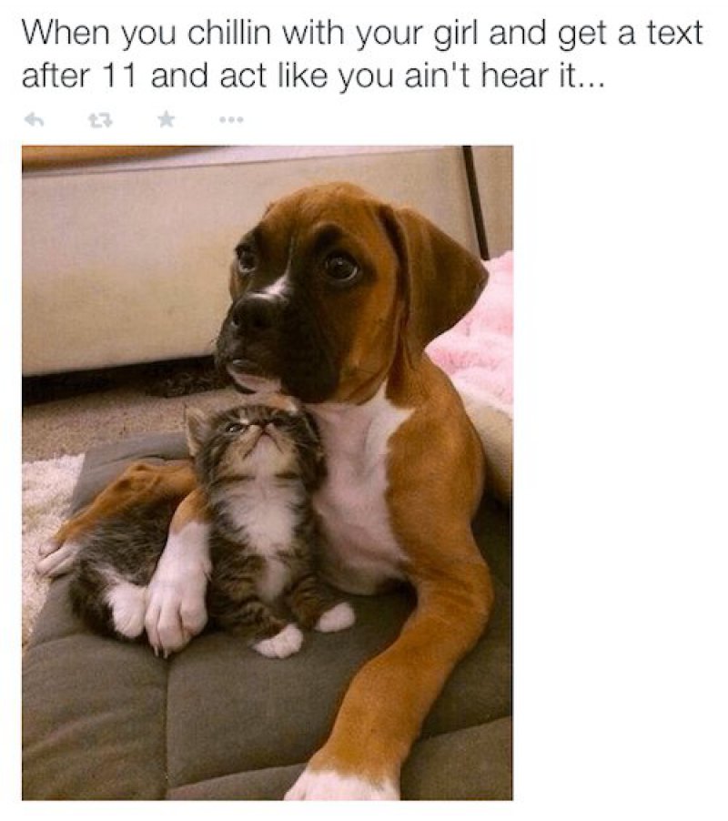 This Awkward Situation-12 Relationships Memes That Will Make You Say So Us