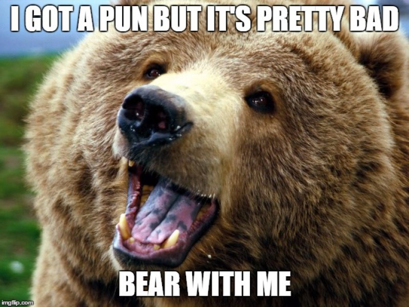 This Bad Pun-12 Hilarious Bear Puns That Will Make You Cry