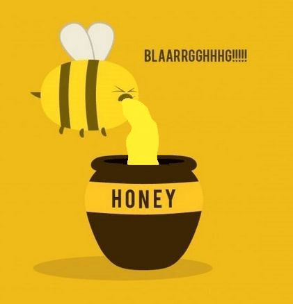 This Cool Bee Pun-12 Hilarious Bee Puns That Will Make Your Day