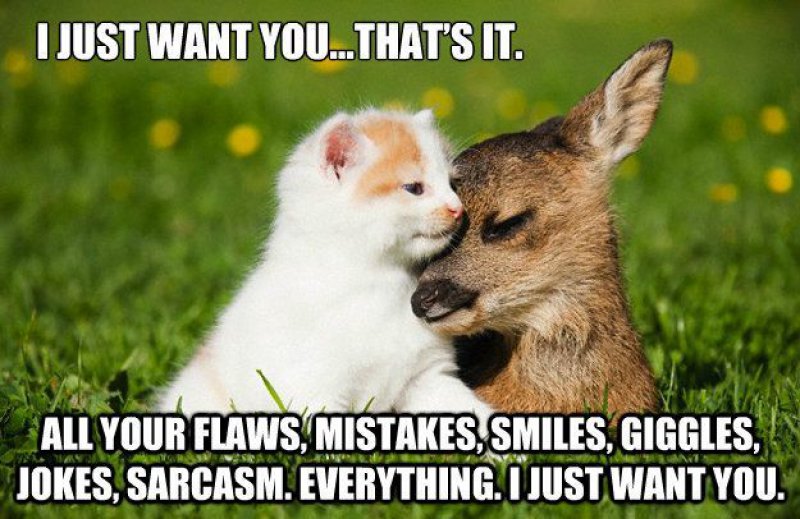 12 Beautiful Yet Hilarious Love Memes